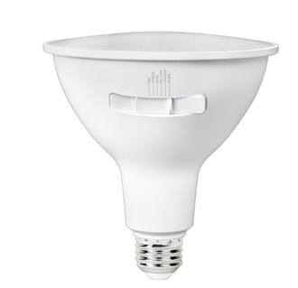 PLT 700 Lumens - 8 Watt - LED PAR38 Lamp with 5000 Kelvin and 5 Selectable Colors